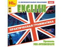 English.  .  Pre-Intermediate -113 