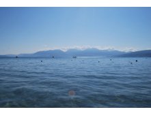 DSC_0393.JPG