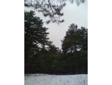 121120112922.jpg