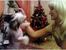 Лизун