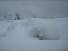 16.12.2008 17:28:45