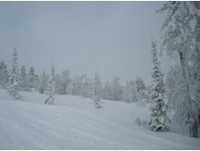 16.12.2008 17:31:03