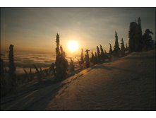 16.12.2008 17:35:29