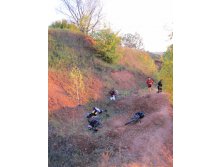 IMG_0698.jpg