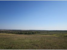 IMG_0796.jpg