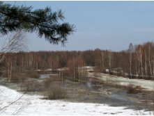 IMG_1343.JPG
