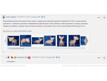 каська отвечает свему боту)