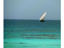 IMG_0481.JPG