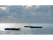 IMG_0492.JPG