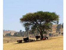 IMG_1067.JPG