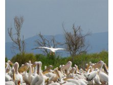 IMG_1665.JPG