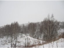 Галич