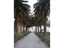 08.01.2009 15:11:09