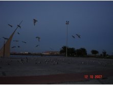 08.01.2009 15:17:55