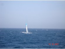 08.01.2009 15:18:47