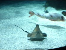 08.01.2009 15:24:29
