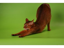 22.04.2012 9:24:38