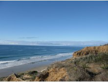 Torrey Pines State Reserve