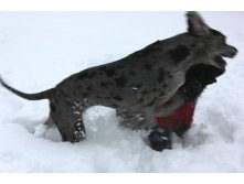 IMG_3093.JPG