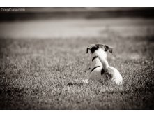 01.09.2010 14:29:35