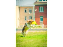 01.09.2010 14:31:12