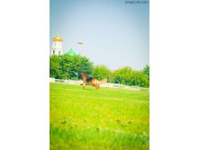 01.09.2010 14:31:23