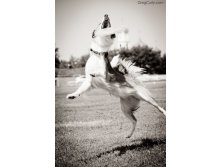 01.09.2010 14:31:41