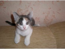 01.09.2010 14:41:35