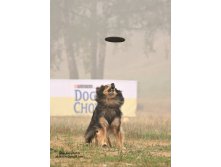 01.09.2010 17:46:38