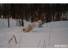 IMG_8097