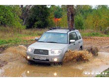 Forester1