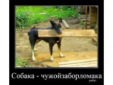 08.02.2013 8:40:08