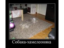08.02.2013 8:41:40