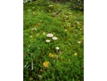 05.09.2010 23:59:20