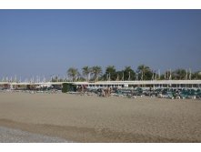 201209_Turkey_2012 1045.jpg