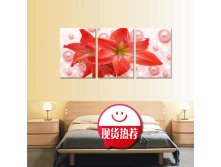 Furnishings-picture-frame-decorative-font-b-painting-b-font-mural-tv-wall-font-b-lily-b.jpg