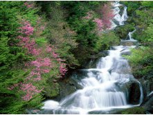  ,  Tochigi, Nikko.jpg