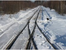 Стрелка узкоколеечная