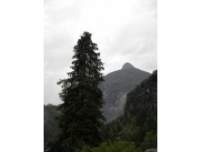 10.09.2010 22:11:08