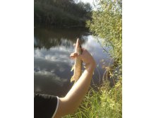 10.09.2010 22:39:55