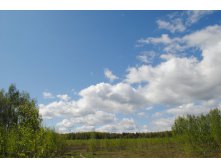 DSC_0034.jpg