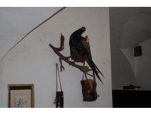 DSC_0155.jpg