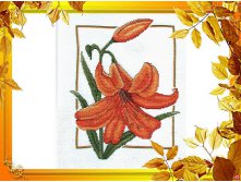 getImage (13).jpg