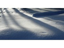 08.03.2009 22:52:40