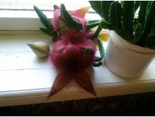 03.05.2012 9:45:37