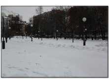 IMG_7330.jpg