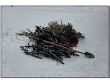 IMG_7328.jpg