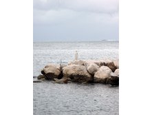 14.03.2009 14:22:17