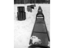 В ожидании гостей