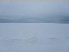 IMG_1807.jpg